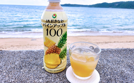 パインアップル100（PET500ml）6本セット パイナップル