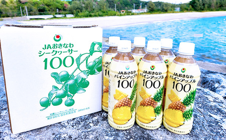 パインアップル100（PET500ml）6本セット パイナップル