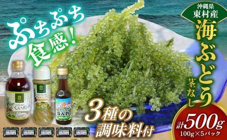 美ら海 沖縄県産 海ぶどうセット／茎なし500g（100g×5パック）＆調味料３種セット