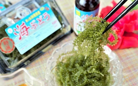 美ら海 沖縄県産 海ぶどうセット／茎なし200g（100g×2パック）ポン酢付