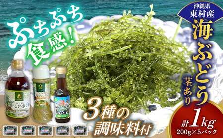 美ら海 沖縄県産 海ぶどうセット／茎あり1kg（200g×5パック）＆調味料３種セット