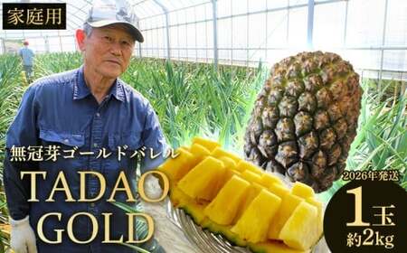 TADAO GOLD　家庭用（無冠芽）1玉　約2kg【ゴールドバレル】2026年発送 ゴールドバレル パインアップル タダオゴールド たまき ただお 逸品 パイン職人 パイナップル 国産パイン 家庭用 パイン 匠 高級フルーツ 南国フルーツ 特別 希少 玉城忠男 農家直送 沖縄 東村