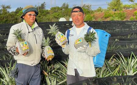 東物産「TARUGO」約5kg（3～5玉）／家庭用