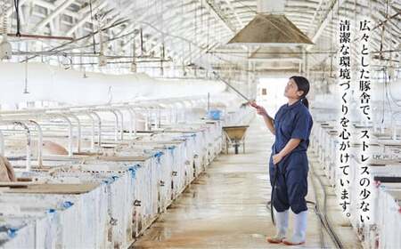 東村産アグーブランド豚『パイとん』焼肉用 600g(肩ロース)