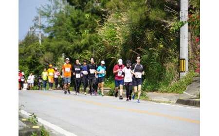 【第44回 東村つつじマラソン大会】20kmコース出走権(1名様分) 沖縄 東村 つつじ ツツジ マラソン まらそん おきなわ ひがし スポーツ イベント 参加料 駐車場 高校生以上