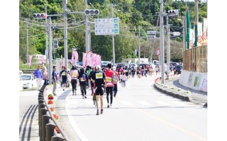【第44回 東村つつじマラソン大会】20kmコース出走権(1名様分) 沖縄 東村 つつじ ツツジ マラソン まらそん おきなわ ひがし スポーツ イベント 参加料 駐車場 高校生以上