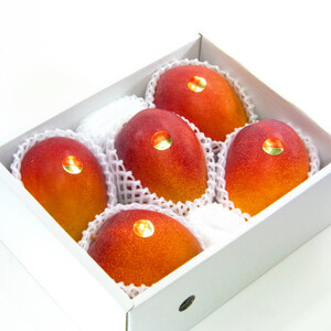 【先行受付・2026年6月から順次発送】山城フルーツ園のアーウィンマンゴー優品2kg【配送不可地域:離島】【1439546】