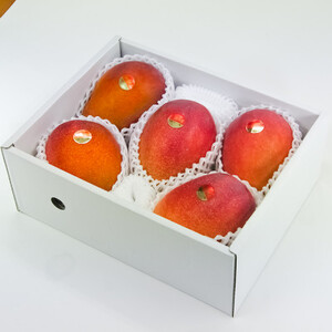 【先行受付・2026年6月から順次発送】山城フルーツ園のアーウィンマンゴー優品2kg【配送不可地域:離島】【1439546】