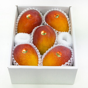 【先行受付・2026年6月から順次発送】山城フルーツ園のアーウィンマンゴーご家庭向け優品2kg【配送不可地域:離島】【1439549】