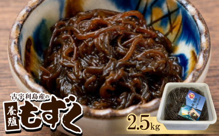 古宇利島産の養殖もずく2.5kg【配送不可地域：離島】【1483942】