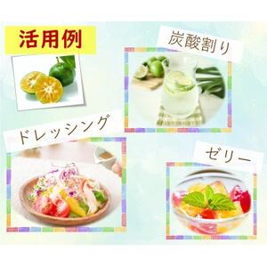 美味しい!マンゴーとシークヮーサーの ジュースセット【1523070】