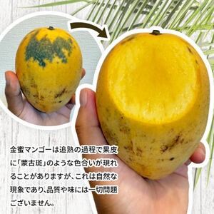 【先行受付・2026年7月から順次発送・優品】超希少な金蜜マンゴー1kg(2~3玉)【配送不可地域:離島】【1552190】