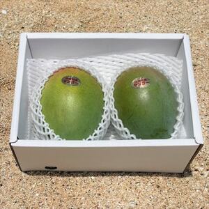 【先行受付・2026年8月から順次発送】仲本マンゴー園の幻のキーツマンゴー3kg(4～5玉)【配送不可地域：離島】【1572260】