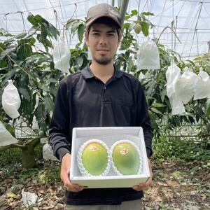 【先行受付・2026年8月から順次発送】仲本マンゴー園の幻のキーツマンゴー3kg(4～5玉)【配送不可地域：離島】【1572260】