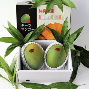 【2026年9月から順次発送・家庭用】山城フルーツ園の幻キーツマンゴー1.5kg(2~3玉)【配送不可地域:離島】【1593007】