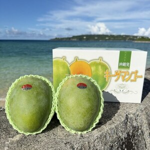 【2026年8月下旬から順次発送】みなとばる農園の幻のキーツマンゴー1.5kg(2~3玉)【配送不可地域:離島】【1593000】