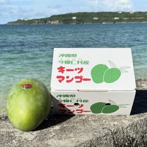 【2026年8月下旬から順次発送・家庭用】みなとばる農園の幻のキーツマンゴー800g~1.0kg【配送不可地域:離島】【1592999】
