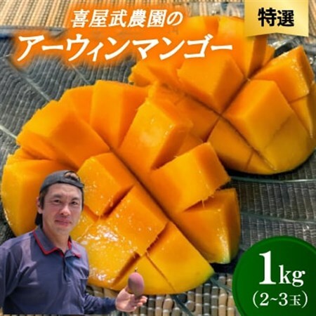 【先行受付・2026年6月から順次発送・特選】喜屋武農園のアーウィンマンゴー1kg(2～3玉)【配送不可地域：離島】【1694605】