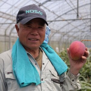 【2026年7月から順次発送・家庭用】名物おじーが作るアップルマンゴー1kg(2～3玉)【配送不可地域：離島】【1694643】