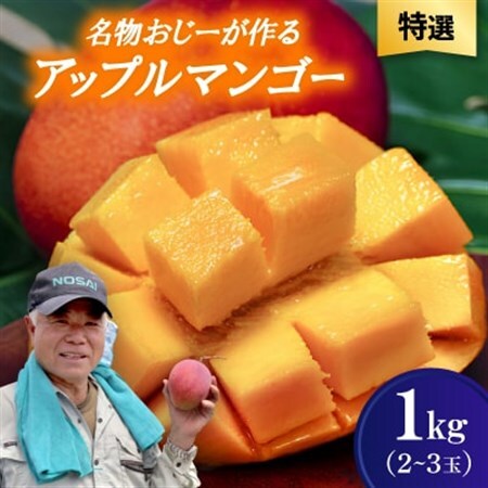 【2026年7月から順次発送・特選】名物おじーが作るアップルマンゴー1kg(2～3玉)【配送不可地域：離島】【1694691】