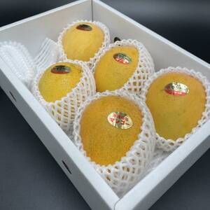 【2026年7月から順次発送・家庭用】名物おじーが作る幻の金蜜マンゴー2kg(4～6玉)【配送不可地域：離島】【1694702】