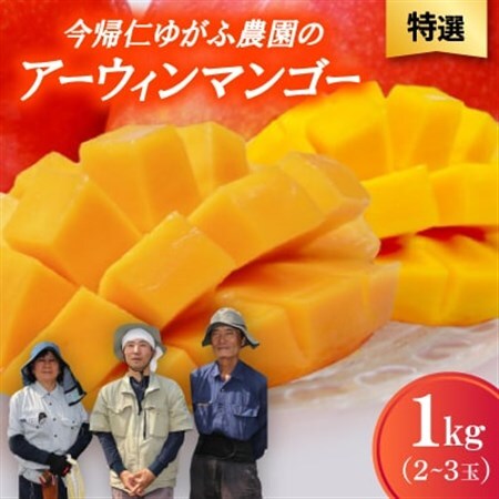 【2026年7月から順次発送・特選】今帰仁ゆがふ農園のアーウィンマンゴー1kg(2～3玉)【配送不可地域：離島】【1694714】