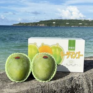 【2026年8月下旬から順次発送・家庭用】みなとばる農園の幻のキーツマンゴー2.0kg(2～3玉)【配送不可地域：離島】【1699837】