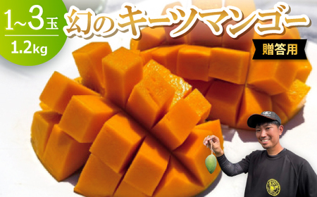 【2026年8月下旬から順次発送・贈答用】みなとばる農園の幻のキーツマンゴー1.2kg(1～3玉)【配送不可地域：離島】【1699963】