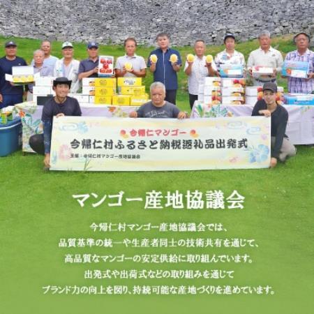 【2026年6月下旬から順次発送・訳あり】今帰仁産のアップルマンゴー2kg(4～6玉)【配送不可地域：離島】【4014743】