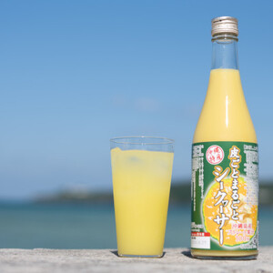 【果汁100%】皮ごとまるごとシークヮーサー500ml×4本セット【1342200】