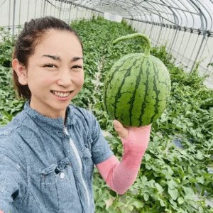 【今帰仁のすいか・ギフト箱】かりゆしすいか(小玉1.7kg)【配送不可地域：離島】【1378161】