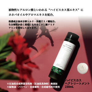 ハイビスカス ヘアケア＆ボディソープ【1425269】