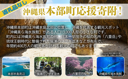 【返礼品なし】沖縄県本部町ふるさと応援寄附金 2000円 寄附のみの応援 寄附のみ 返礼品なし 返礼品無し　御礼品なし　御礼品無し