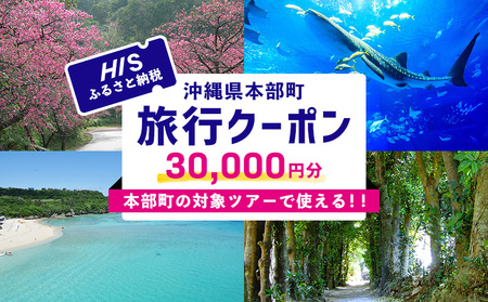 HISふるさと納税クーポン（沖縄県本部町）3万円分 観光 宿泊 宿泊券 トラベル 旅行 クーポン ホテル リゾート 旅館 ファミリー ペア ダイビング 沖縄 本部町 ビーチ やんばる オリオン ゴルフ 美ら海 水族館