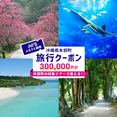 HISふるさと納税クーポン（沖縄県本部町）30万円分 観光
