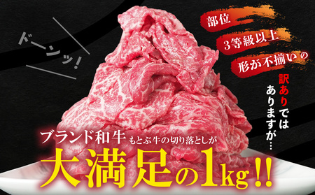 期間限定　もとぶ牧場　訳あり　もとぶ牛切り落とし　1kg（500g×2P） 切落し すき焼き 煮込み カレー 沖縄 オススメ おすすめ 人気 ブランド 和牛 県産和牛 黒毛和牛 牛肉 牛 小分け 便利 わけあり ワケアリ グルメ 1000ｇ