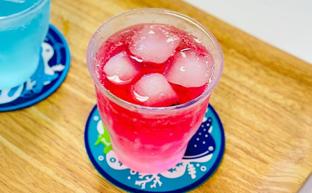 沖縄美ら海水族館オリジナル「ちゅらうみサイダーアセロラ」350ml×24本 本部町 限定 ソーダ ソフトドリンク 飲料 パッケージ ジンベイザメ 水族館 おきなわ おすすめ 美味しい 炭酸 炭酸飲料 プレゼント ギフト 贈答 贈り物 ケース 爽やか すっきり