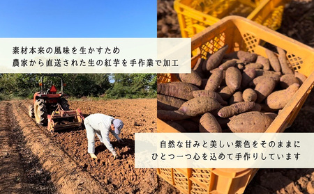 濃厚紅芋アイスバー デザート おやつ アイスクリーム お菓子 芋 おすすめ 人気 こども 家族 子供 プレゼント ギフト 紅芋 贈答 贈り物 沖縄 沖縄県 本部町 美ら海 フクギ並木