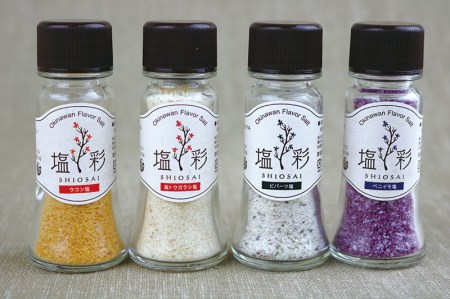 沖縄フレーバーソルト　塩彩　10種類セット