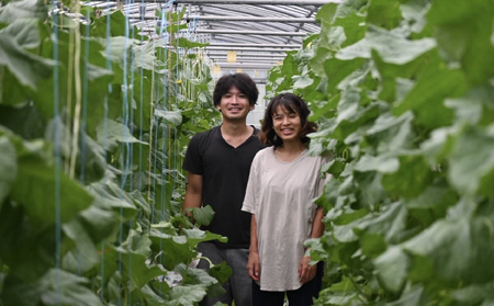 本部町産　アールスメロン（2玉）2.8kg以上 フルーツ 果物 果実 期間限定 数量限定 おすすめ おススメ 本部町 人気 沖縄産 おきなわ もとぶ 贈答 プレゼント 贈り物 スイーツ デザート 糖度 品質 ギフト