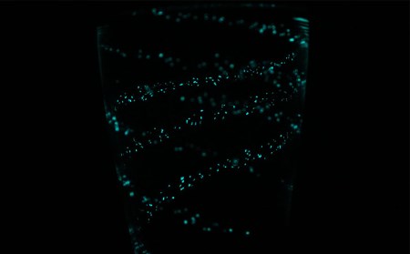 琉球ガラス 海蛍アイスロンググラス ティーダ 2個セット 沖縄県本部町 ふるさと納税サイト ふるなび