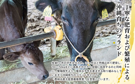 【定期便3回】【もとぶ牛】もとぶ牛 牛丼の素 ギフトセット(180g×4食) 県産和牛 黒毛和牛 国産 牛肉 美ら海 ブランド 和牛 加工品 人気 オススメ おすすめ グルメ 贅沢 高級 おかず お取り寄せ 常温 沖縄 本部町 定期便3回