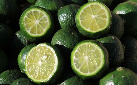 オリオンビール オリオンザ ドラフト350缶 シークワーサー100 500ml 沖縄県本部町 ふるさと納税サイト ふるなび