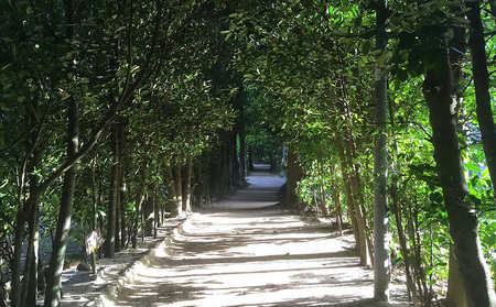 【本部町】 Jcationで利用可能なWEB旅行クーポン(150000円分)