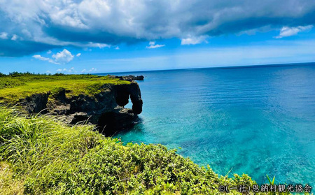 【返礼品なし】沖縄県恩納村ふるさと応援寄附金 1000円 