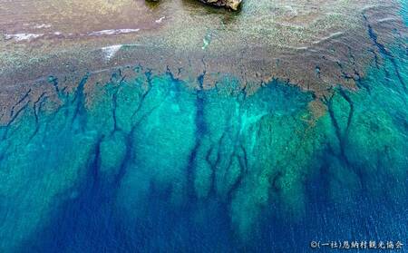 【返礼品なし】沖縄県恩納村ふるさと応援寄附金 1000円 
