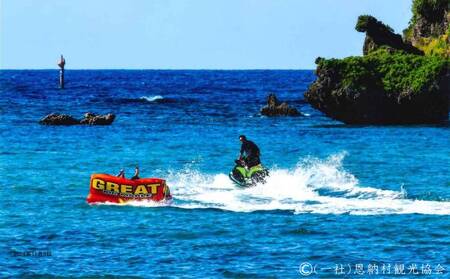 【返礼品なし】沖縄県恩納村ふるさと応援寄附金 1000円 