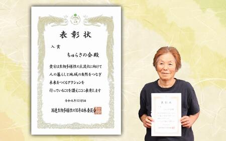 【環境省重要湿地】【屋嘉田潟原】夜の干潟の観察（3人）