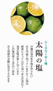 海塩 南の島恵み塩 ４種セット 160g（ 40g×4個 ）