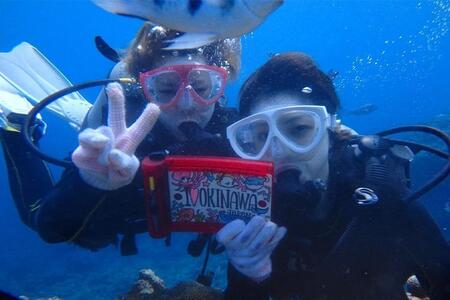 青の洞窟 体験ダイビング（ボート）1名様 ふるさと納税限定！｜青の洞窟ダイビング ダイビングチケット ダイビング体験 沖縄ダイビング ダイビング チケット 券 金券 恩納村 沖縄 人気 おすすめ 送料無料